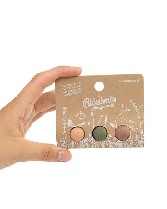 Blister 3 Blossombs Xmas Garden