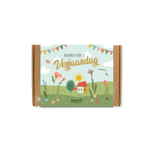Gift Box Small met zaadbommetjes - Bloemen voor je verjaardag