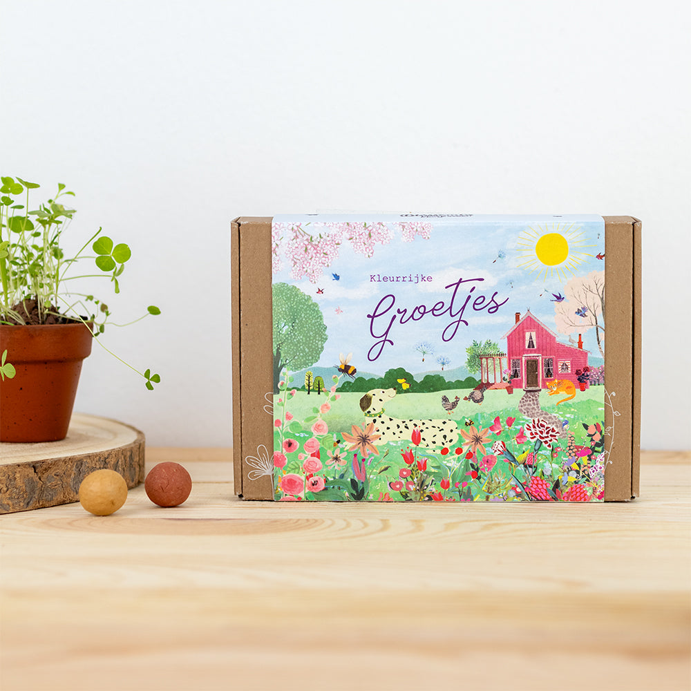 Gift Box Small met 7 zaadbommetjes - Pink House