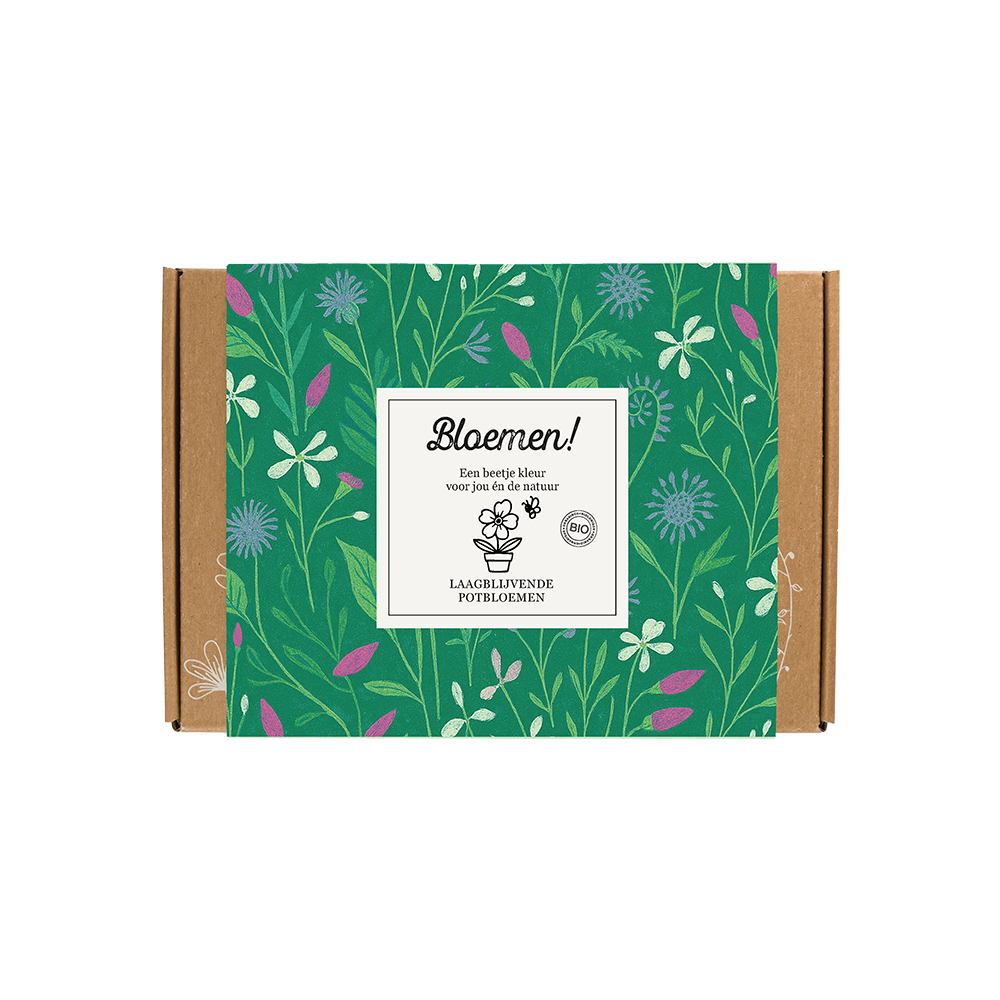 Gift Box Small "Bloemen!" met 7 Laagbloeiende Mix Zaadbommetjes