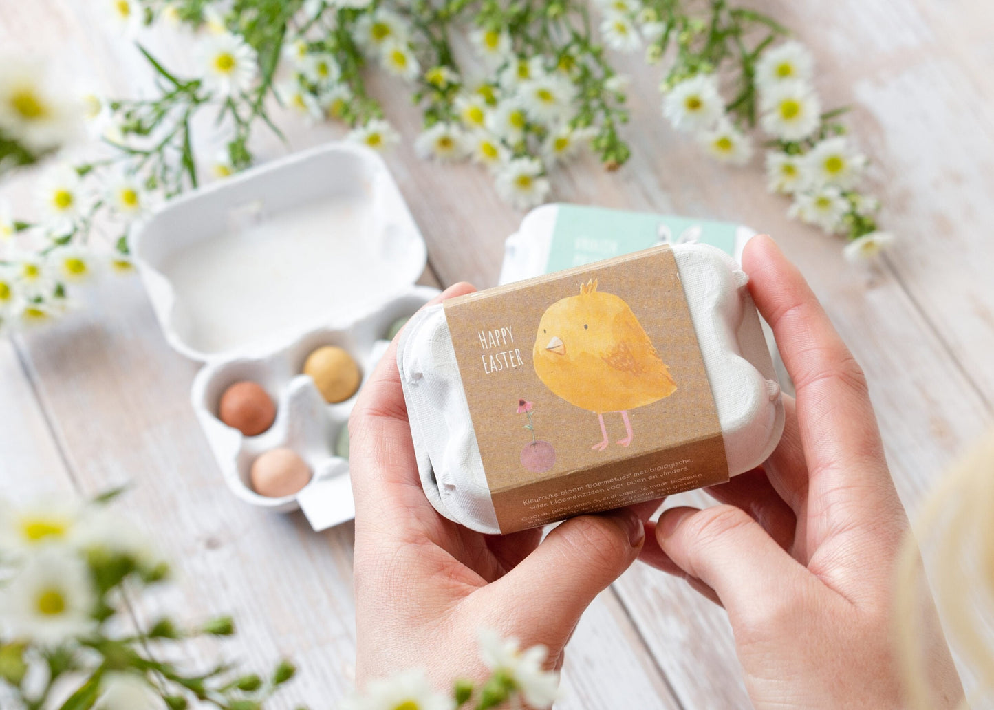 Paascadeau eierdoosje met 6 zaadbommetjes "Kuiken"
