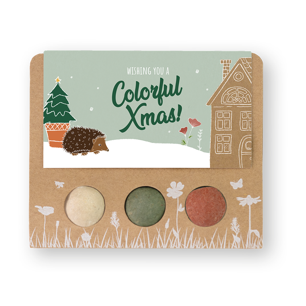 Blister 3 Blossombs Xmas Garden