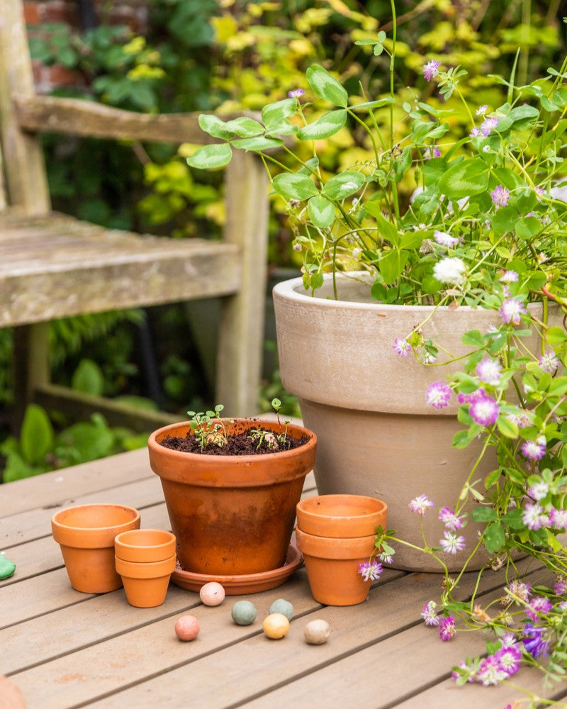 Gift Box Large met 9 zaadbommetjes en jutezakje
