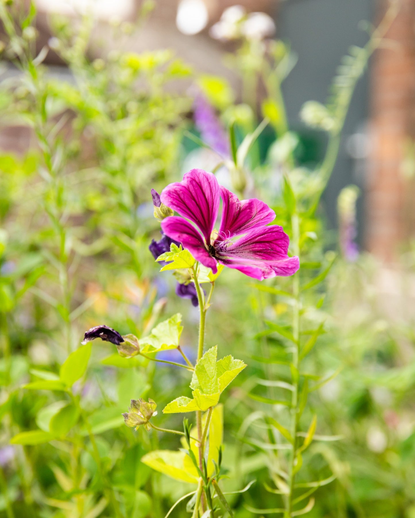 Jute cadeauzakje met 5-8 bloembommetjes