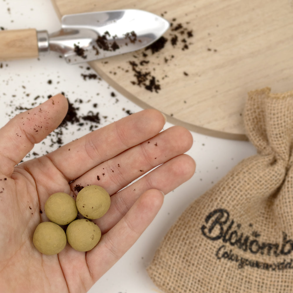 Gift Box Mini "Bedankt" met 4 Tuin- en Keukenkruiden Mix Zaadbommetjes