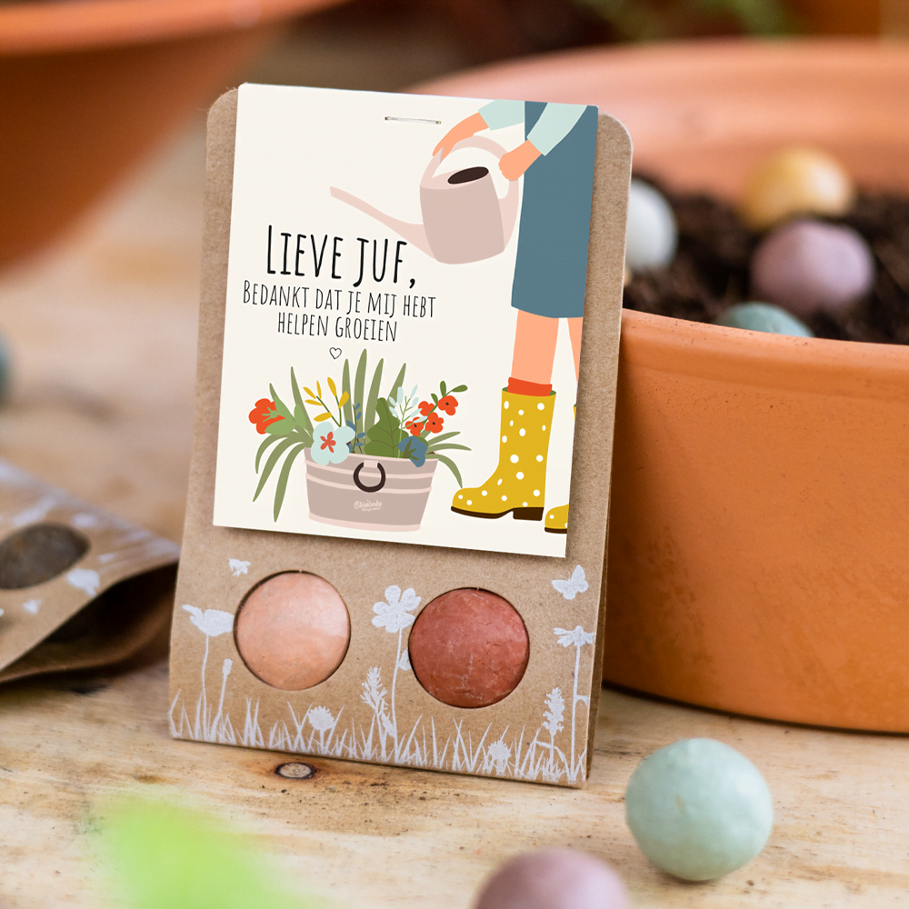 Weggeefcadeautje "Lieve Juf" met 2 bloembommetjes