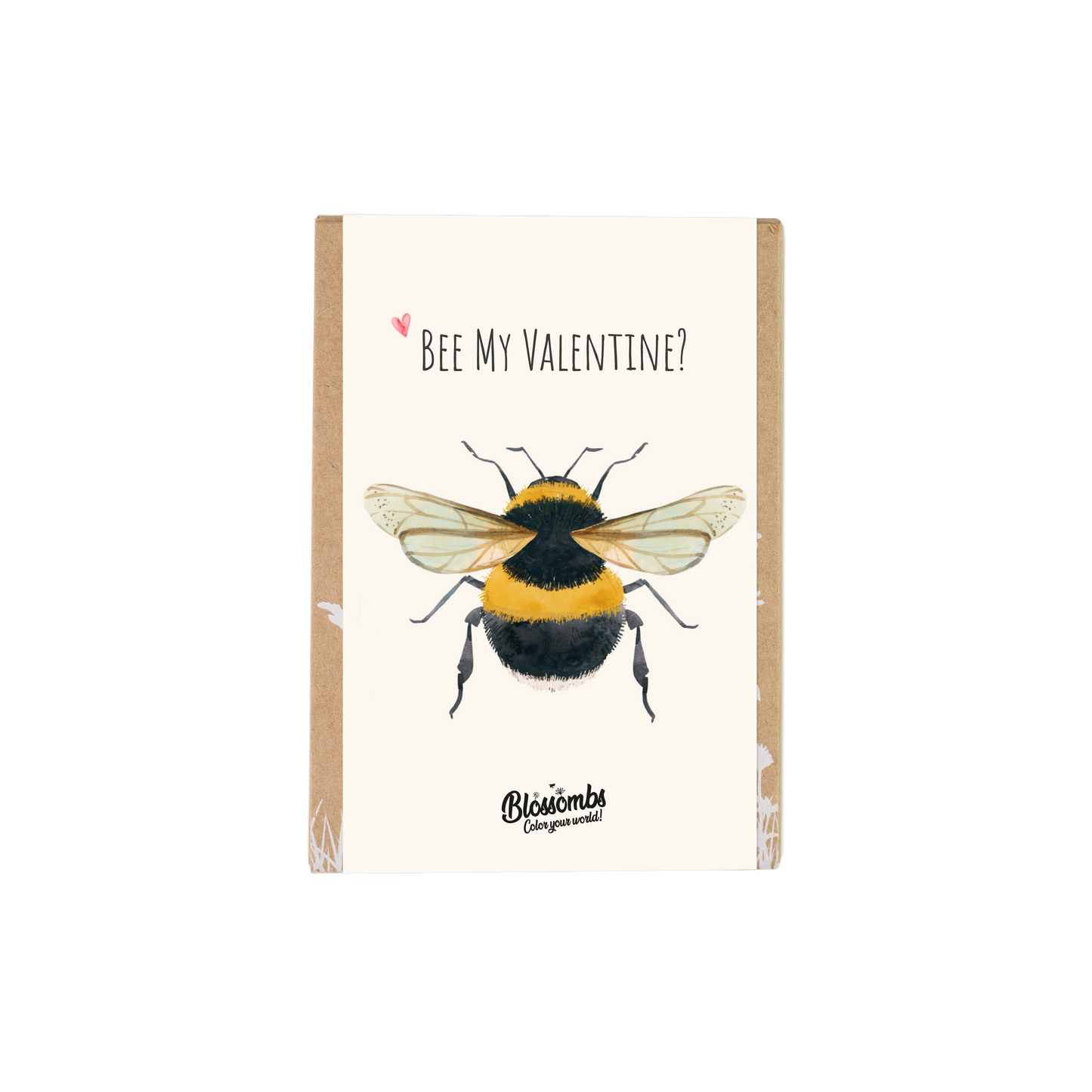 Valentijn Gift Box Mini met 4 zaadbommetjes