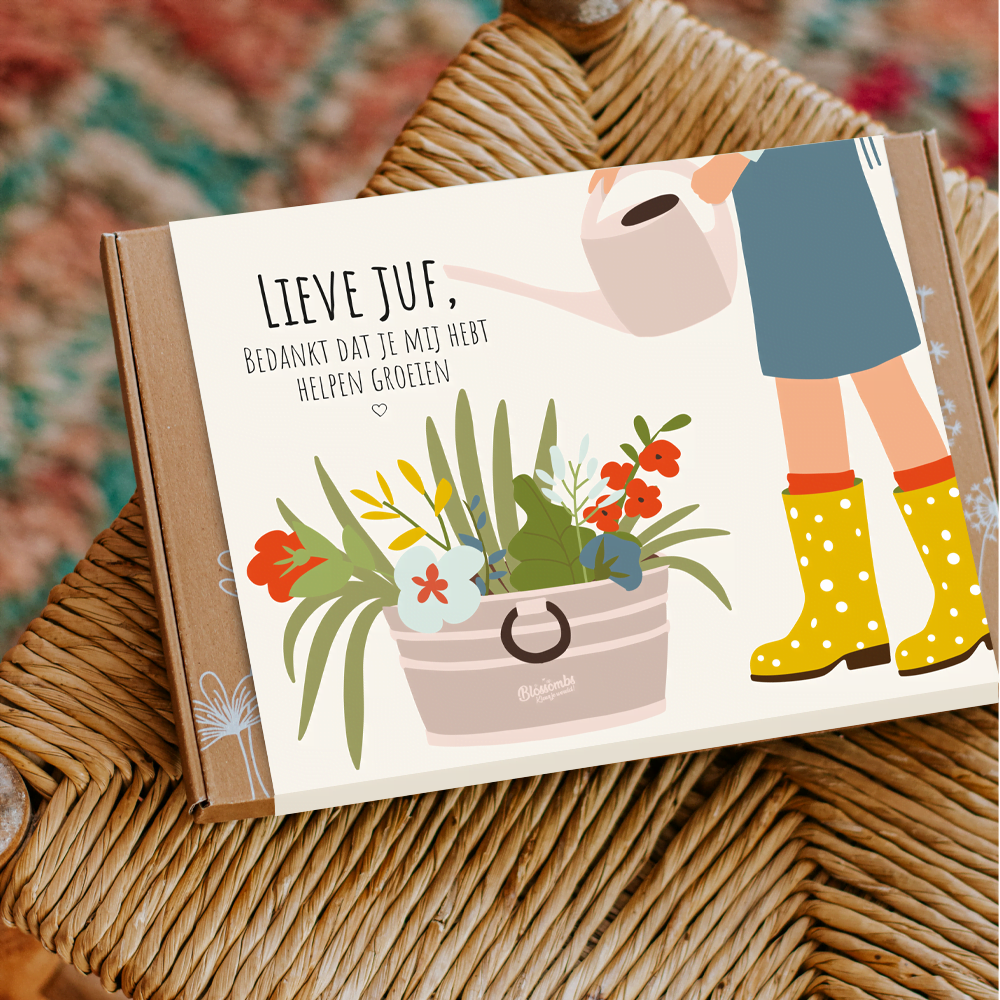 Small Gift Box "Lieve Juf" met 7 bloembommetjes