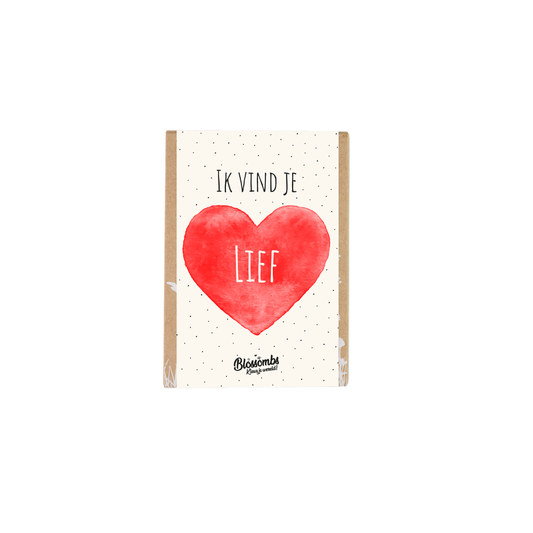 Gift Box Mini "Ik vind je lief" met 4 Blossombs zaadbommetjes