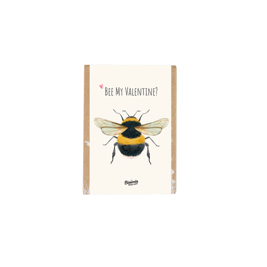 Valentijn Gift Box Mini met 4 zaadbommetjes