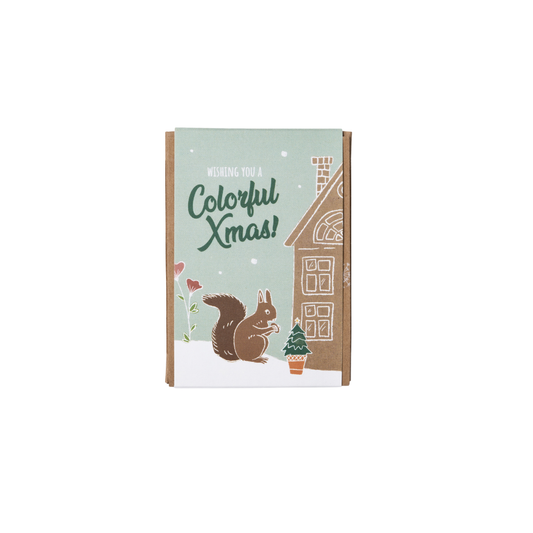 Giftbox Mini Xmas Garden