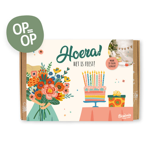 Gift Box Large met 9 zaadbommetjes en DIY slinger - Hoera, het is feest!