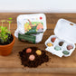 Eierdoosje met 6 zaadbommetjes - Easter Wonderland