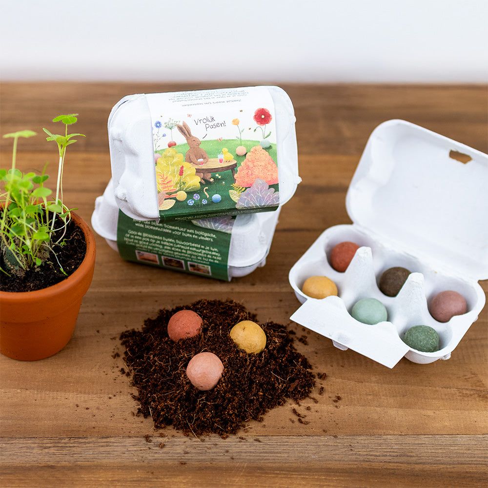 Eierdoosje met 6 zaadbommetjes - Easter Wonderland
