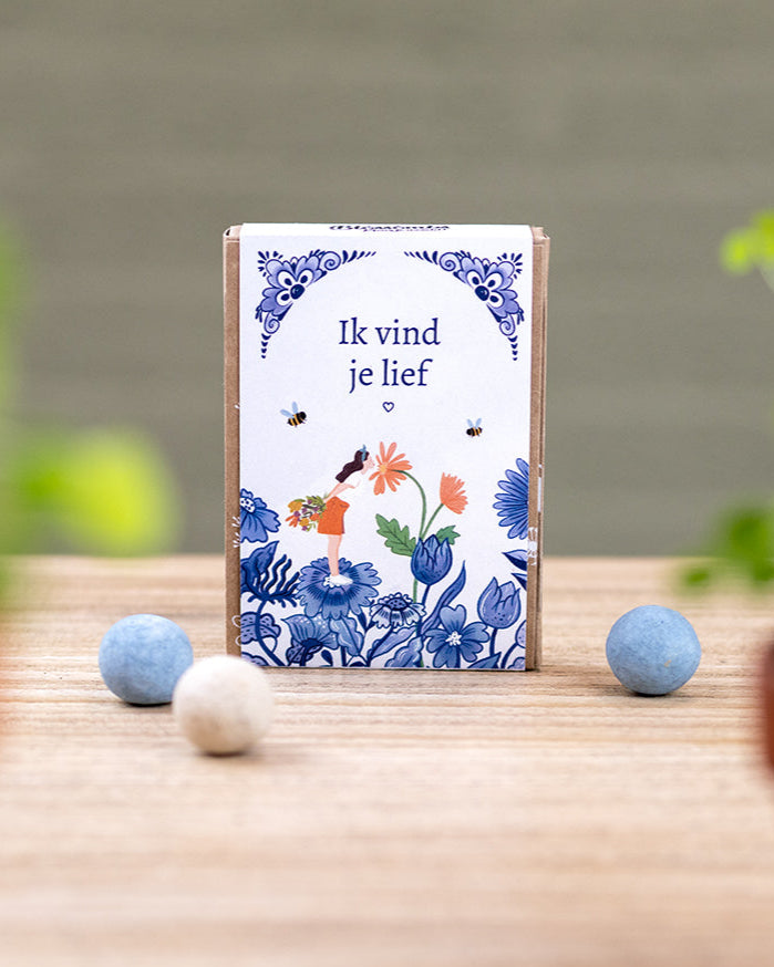 Gift Box Mini met 4 zaadbommetjes - Delft Blue Kisses