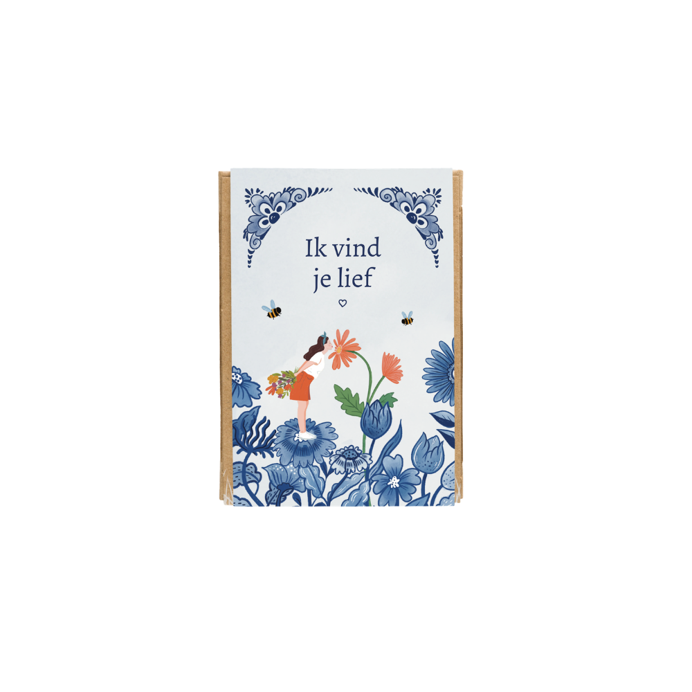 Gift Box Mini met 4 zaadbommetjes - Delft Blue Kisses