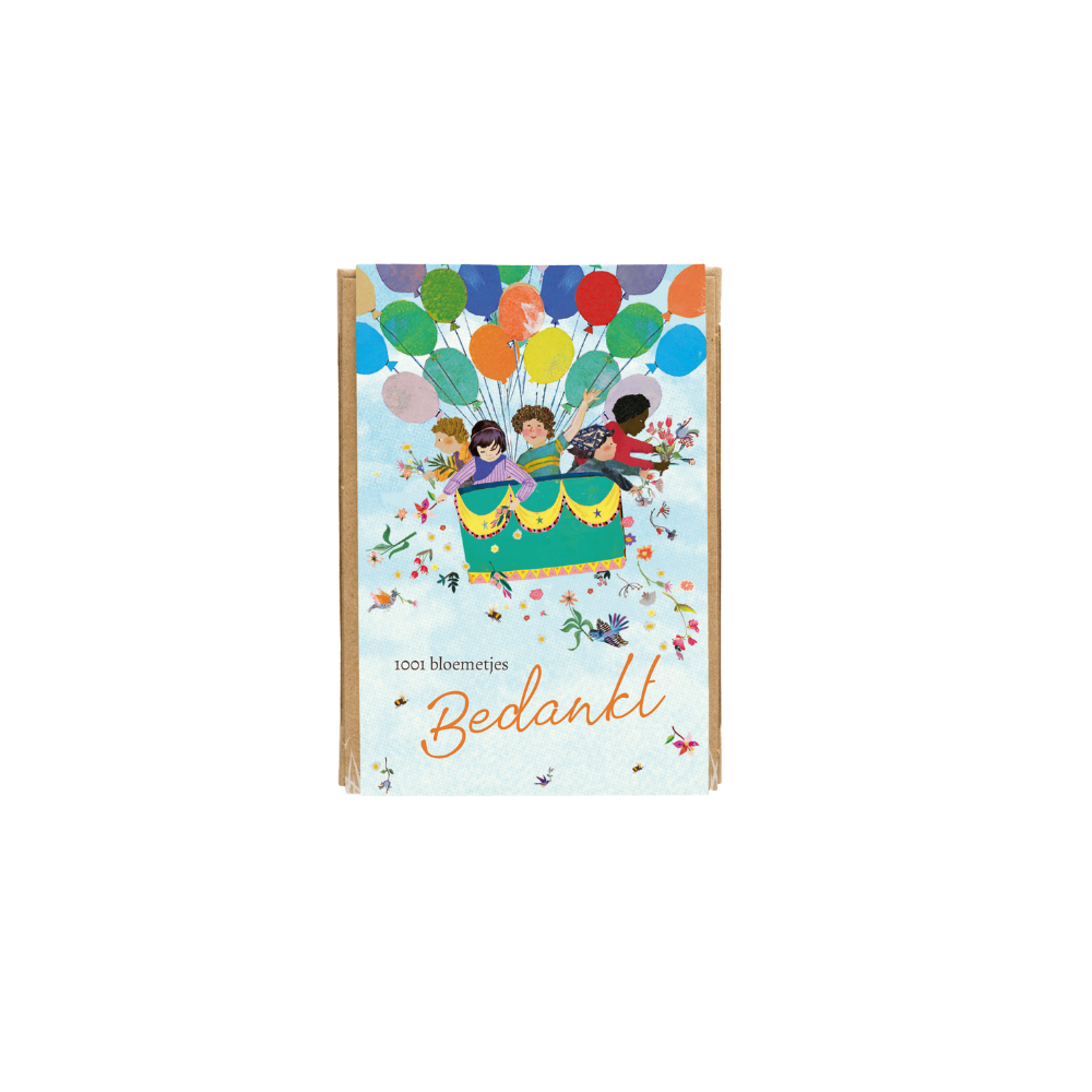 Gift Box Mini met 4 zaadbommetjes - Air Balloon
