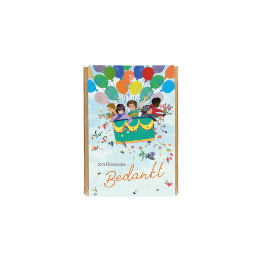 Gift Box Mini met 4 zaadbommetjes - Air Balloon