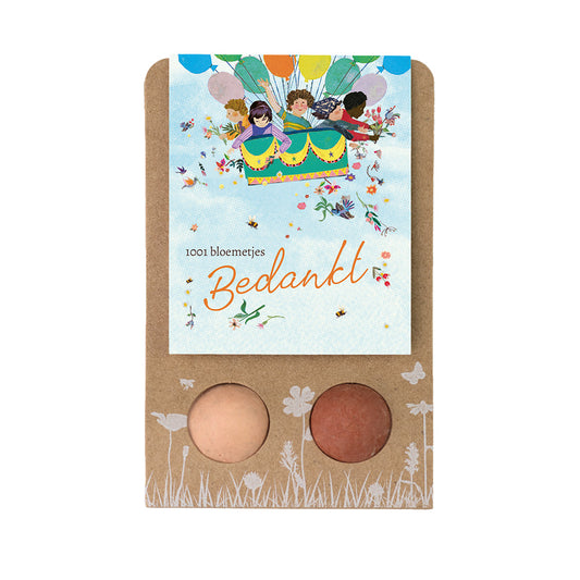 Weggeefcadeautje met 2 zaadbommetjes - Air Balloon