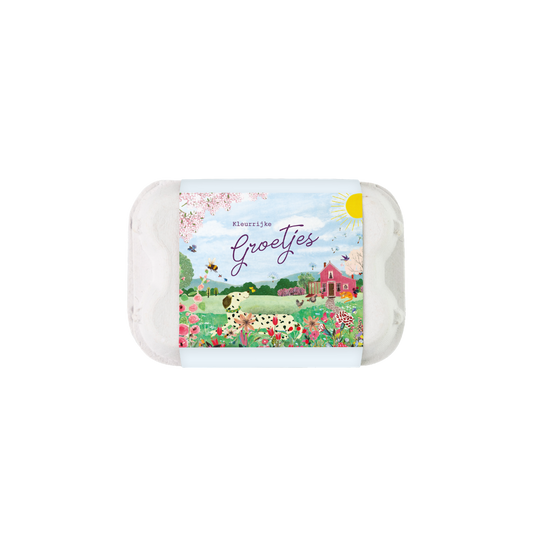 Cadeau Eierdoosje met 6 zaadbommetjes - Pink House