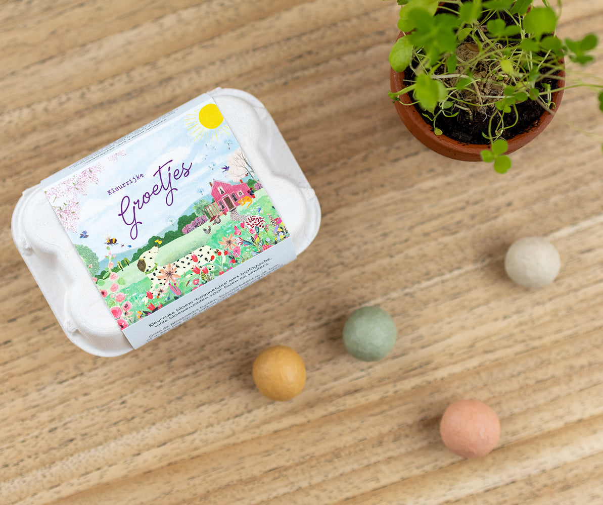 Cadeau Eierdoosje met 6 zaadbommetjes - Pink House