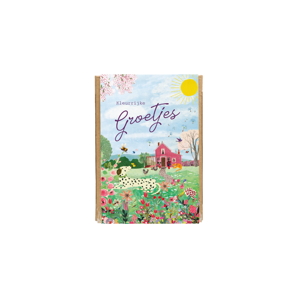 Gift Box Mini met 4 zaadbommetjes - Pink House