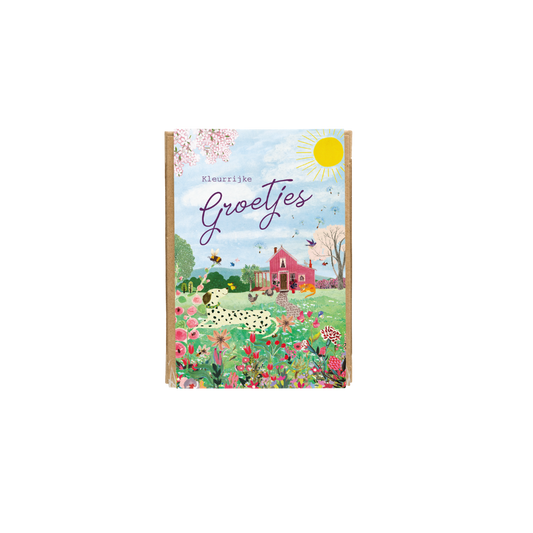 Gift Box Mini met 4 zaadbommetjes - Pink House