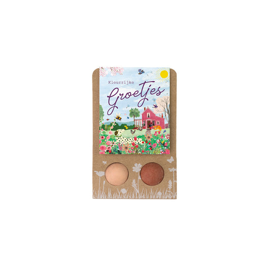 Weggeefcadeautje "Groetjes" met 2 zaadbommetjes - Pink House
