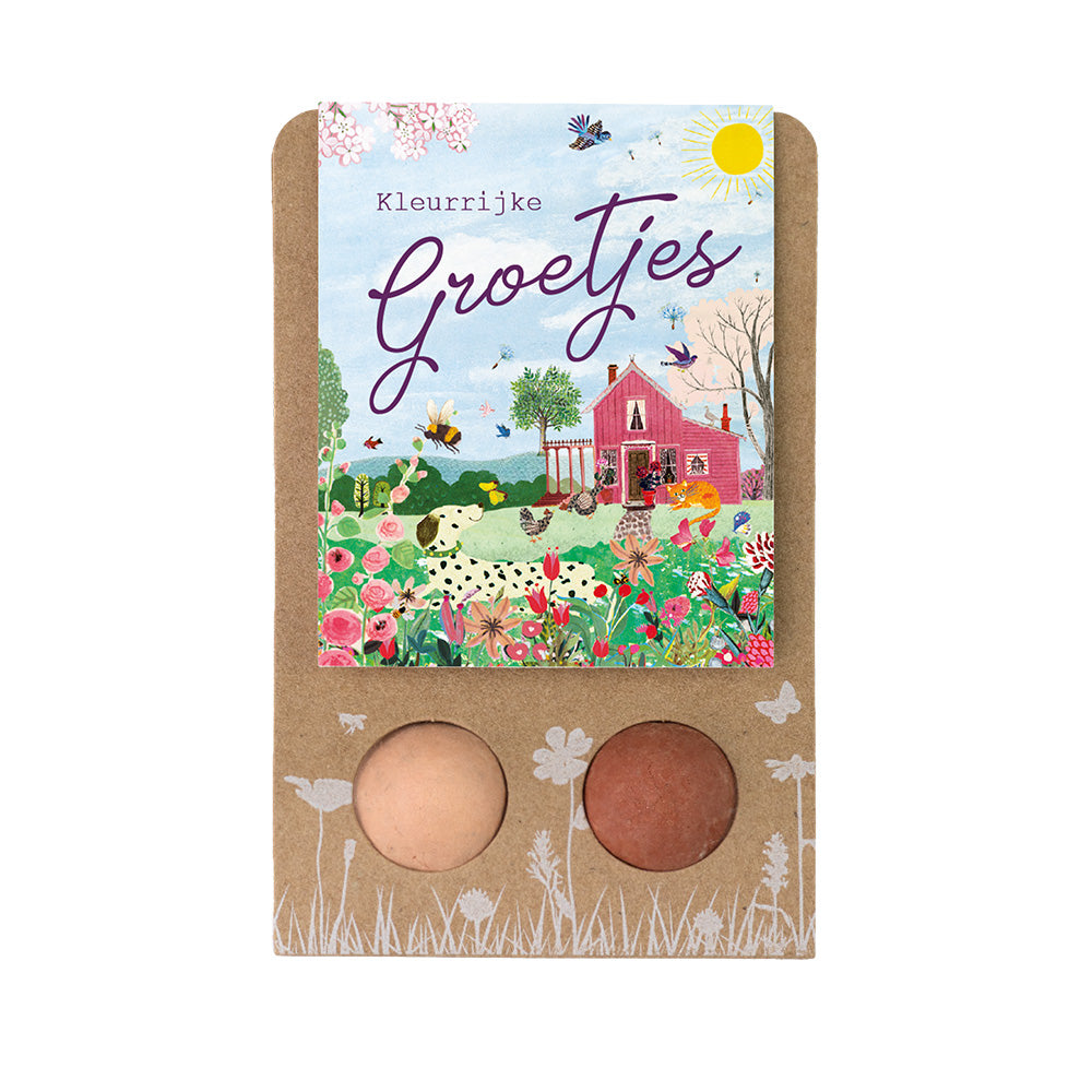 Weggeefcadeautje met 2 zaadbommetjes - Pink House
