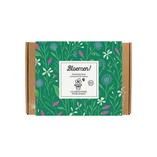 Gift Box Small "Bloemen!" met 7 Laagbloeiende Mix Zaadbommetjes