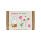 Nijntje Gift Box Small met 7 Zaadbommetjes - Flowers For You