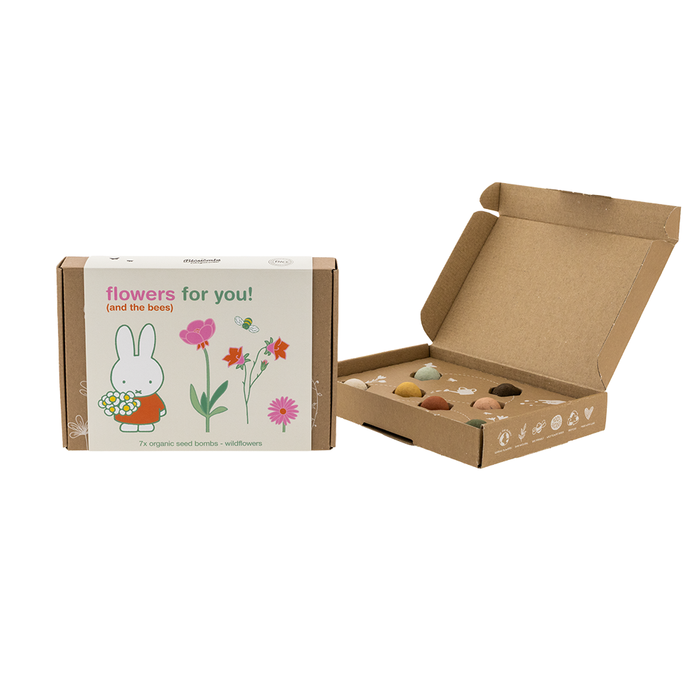Nijntje Gift Box Small met 7 Zaadbommetjes - Flowers For You