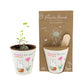 Nijntje Grow Kit met Zaadbommetje - Flowers For You