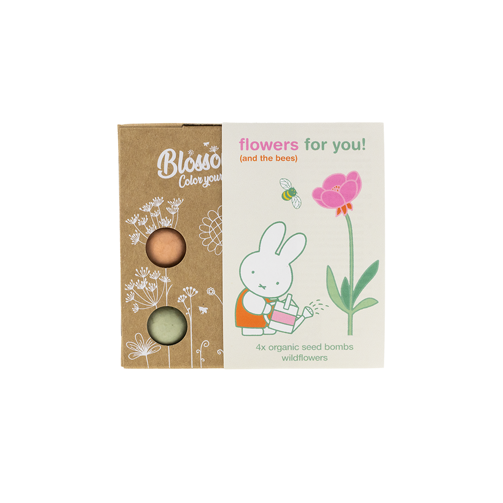Nijntje Gift Box Mini met 4 Zaadbommetjes - Flowers For You