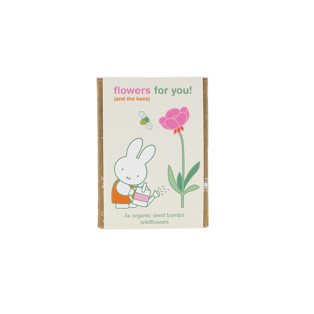 Nijntje Gift Box Mini met 4 Zaadbommetjes - Flowers For You