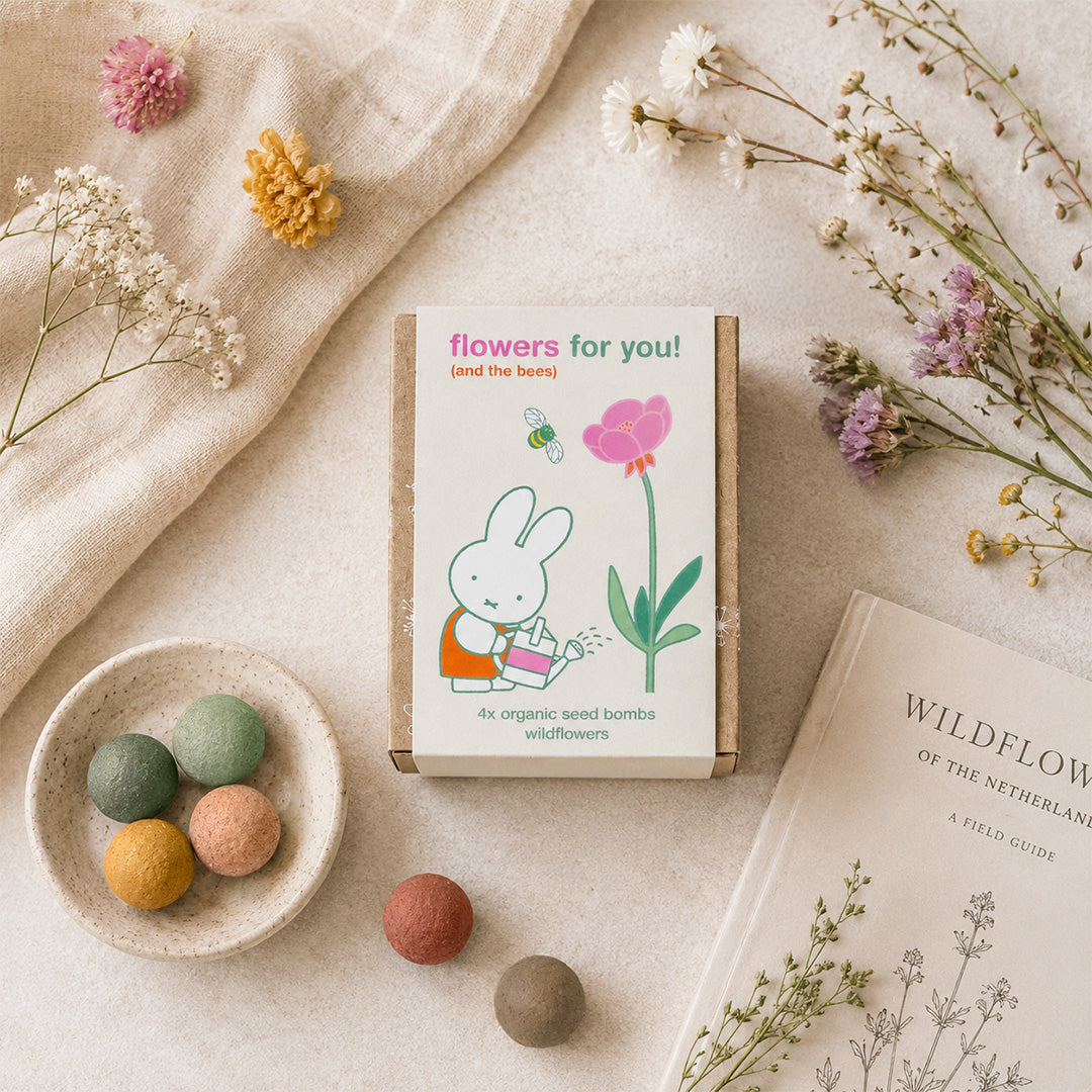 Nijntje Gift Box Mini met 4 Zaadbommetjes - Flowers For You