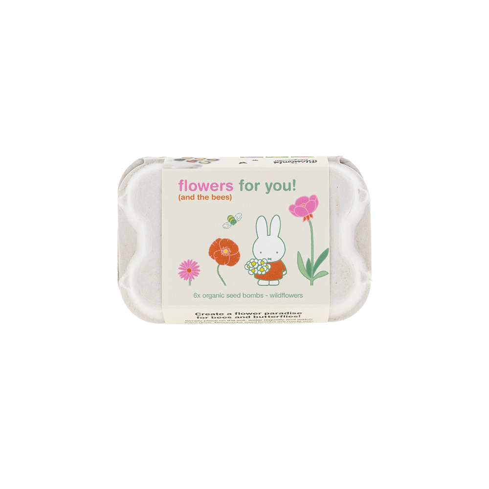 Nijntje Eierdoosje met 6 Zaadbommetjes - Flowers for you