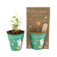 Nijntje Grow Kit met Zaadbommetje - Butterfly Garden For You