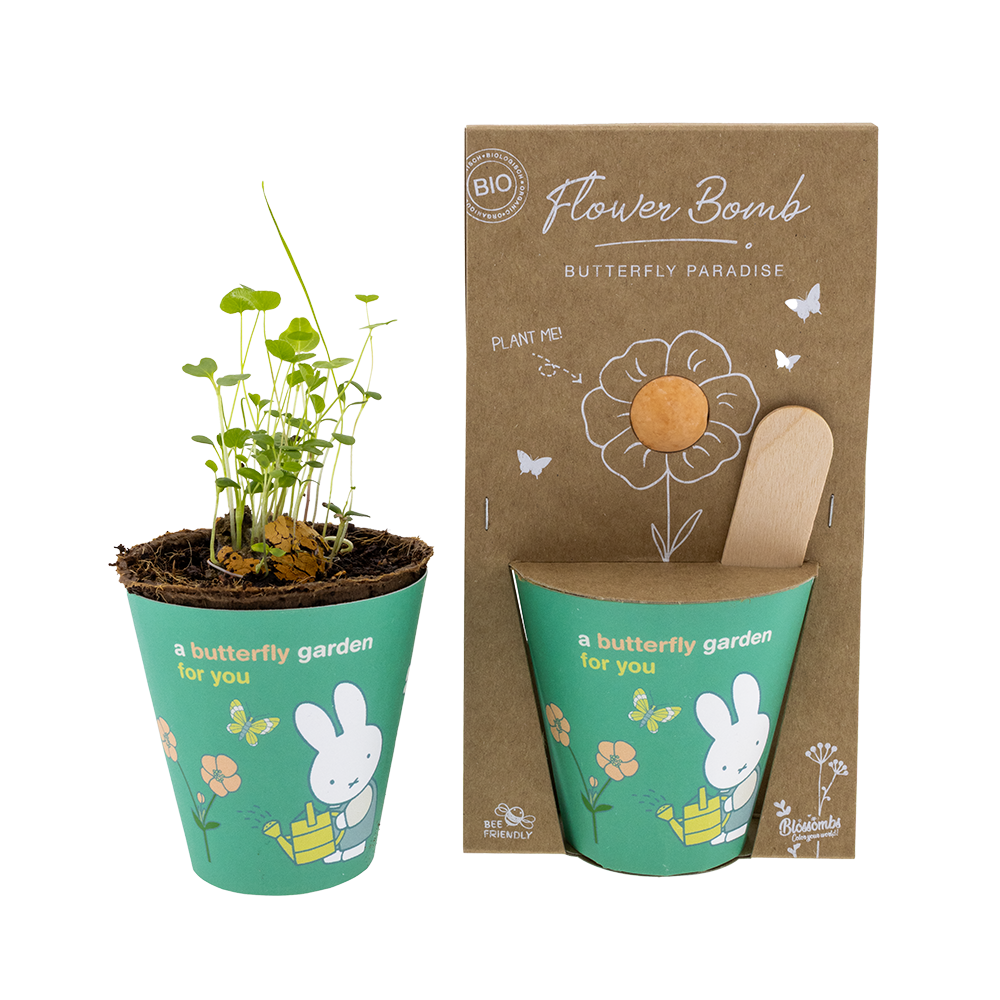 Nijntje Grow Kit met Zaadbommetje - Butterfly Garden For You