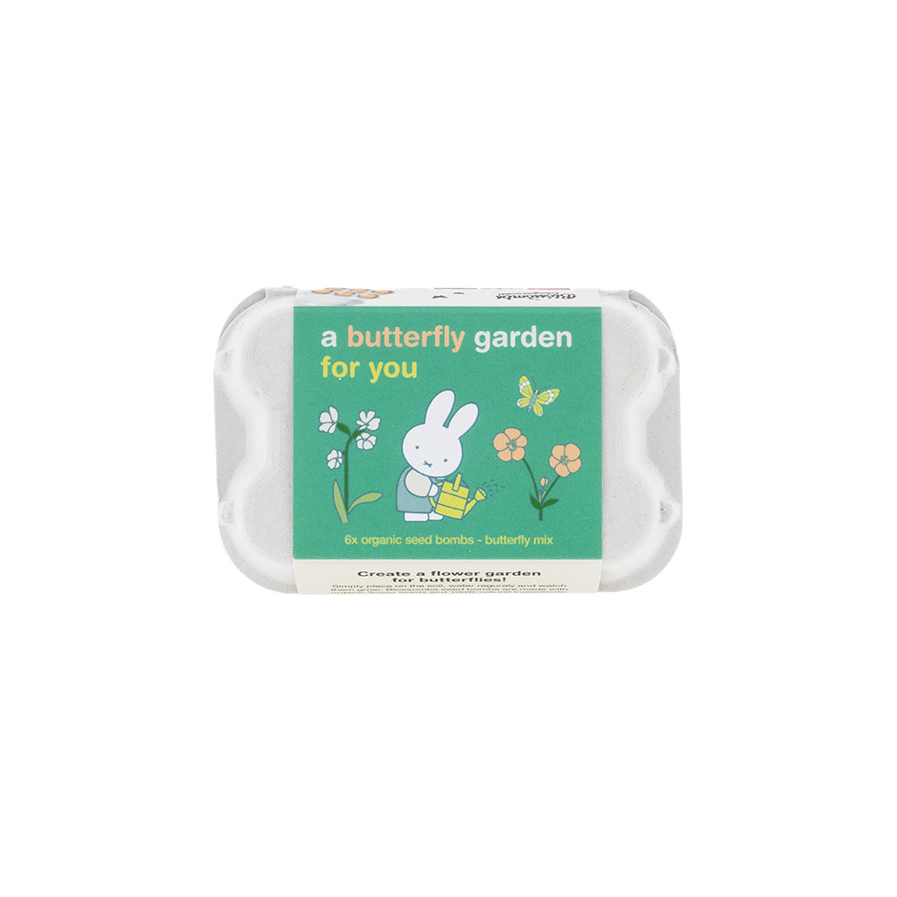 Nijntje Eierdoosje met 6 Zaadbommetjes - Butterfly Garden for you