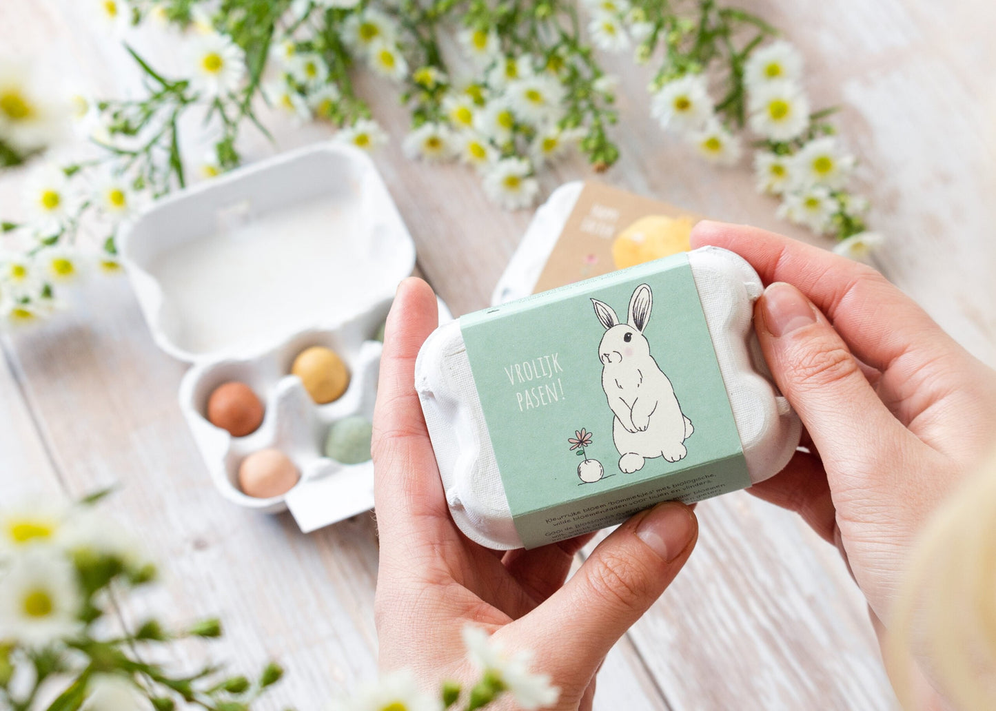 Paascadeau eierdoosje met 6 zaadbommetjes "Konijn"
