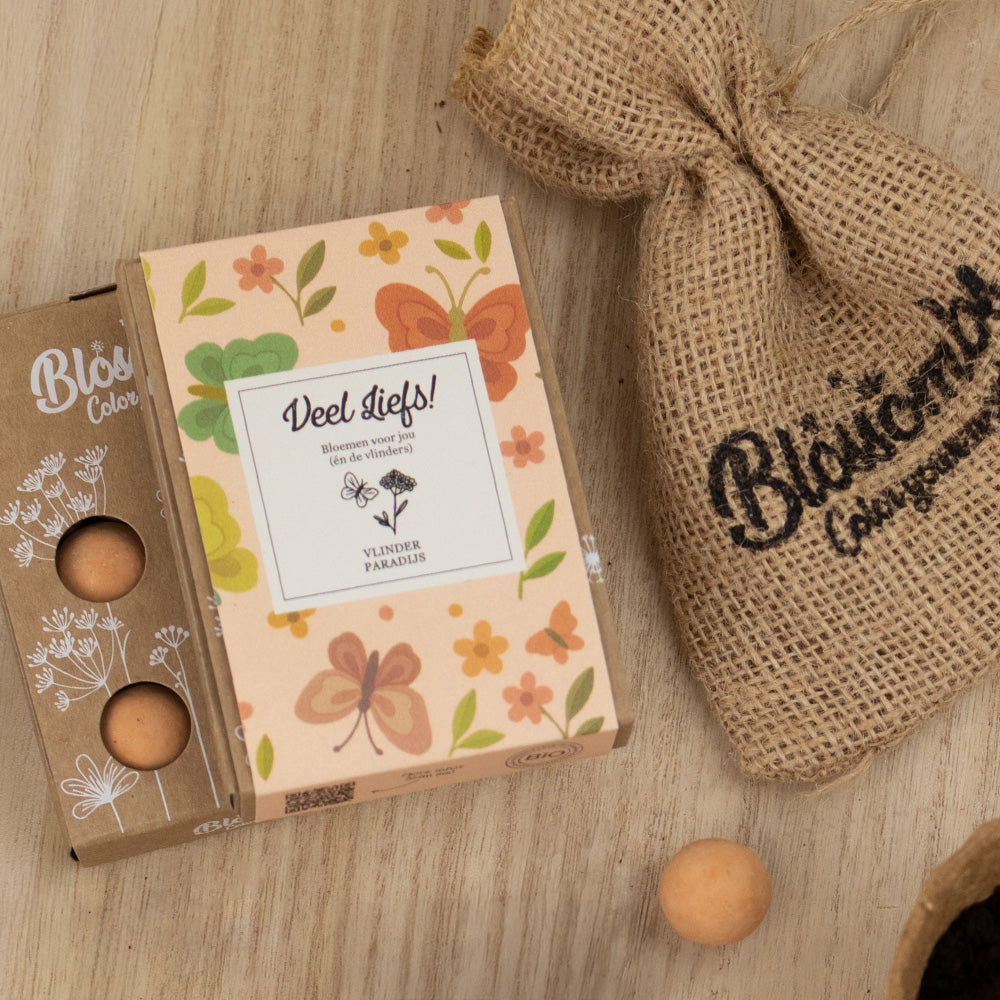 Gift Box Mini "Veel liefs!" met 4 Vlinder Mix Zaadbommetjes