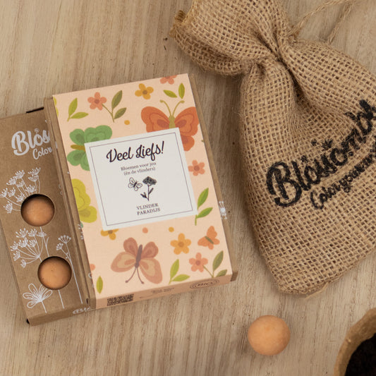 Gift Box Mini "Veel liefs!" met 4 Vlinder Mix Zaadbommetjes