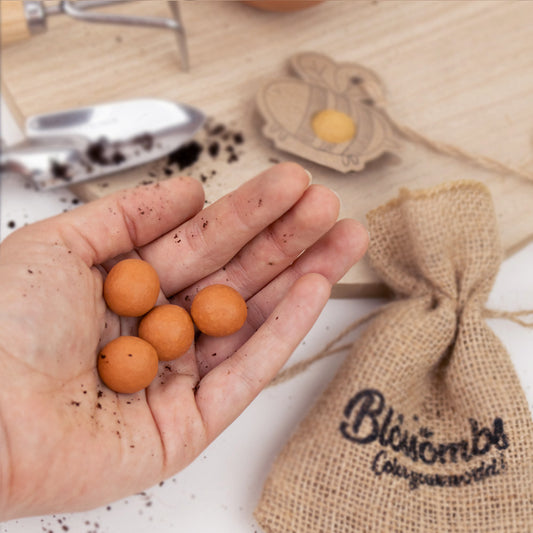 Gift Box Mini "Voor jou!" met 4 Hollandse Mix Zaadbommetjes