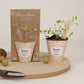 Grow kit "Bedankt" met Tuin- en Keukenkruiden Mix Zaadbommetje