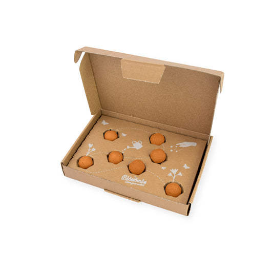 Gift Box Small "Voor jou!" met 7 Hollandse Mix Zaadbommetjes