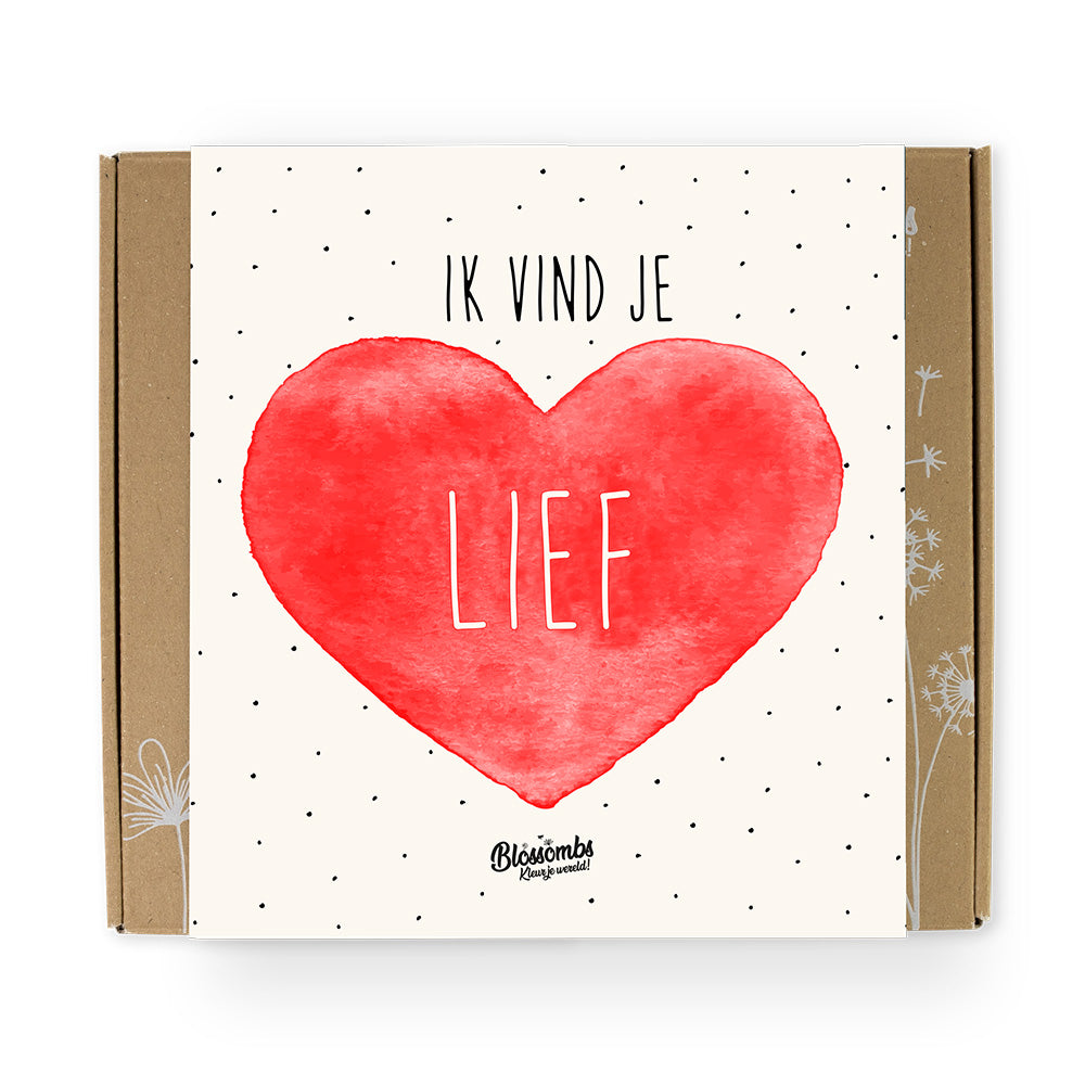 Valentijn Gift Box Medium "Hartje" met 9 Zaadbommetjes