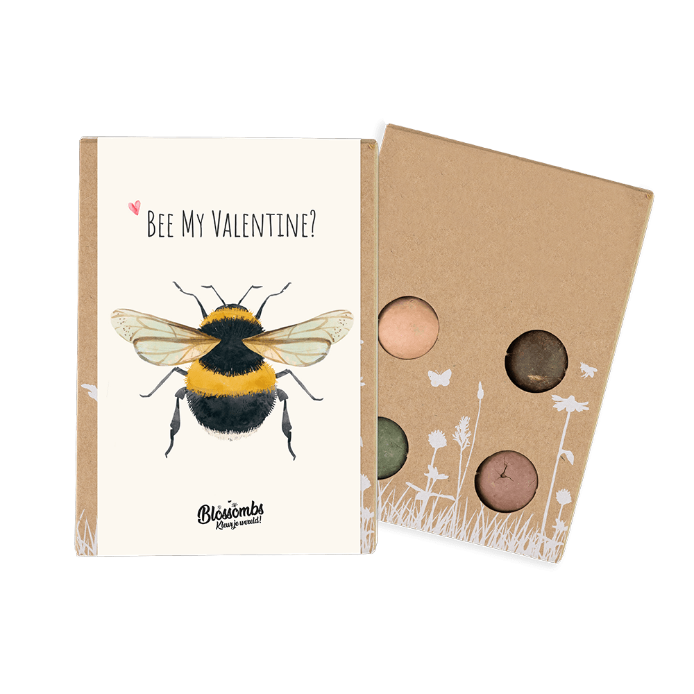 Mini Giftbox Valentijn - Bee NL