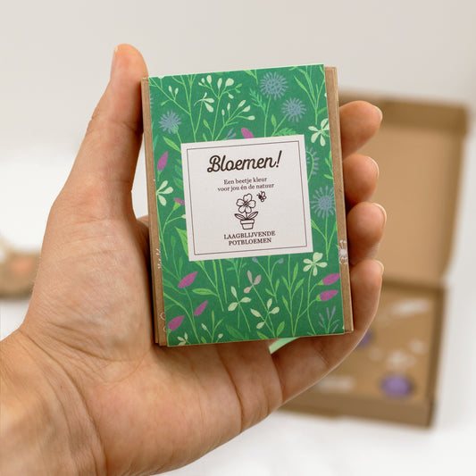 Gift Box Mini "Bloemen!" met 4 Laagbloeiende Mix Zaadbommetjes