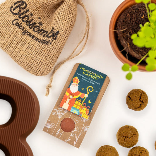 Sinterklaas weggevertje zaadbommetje